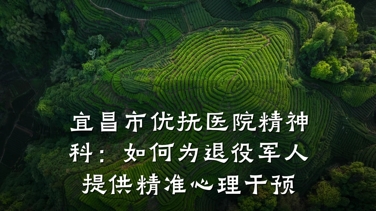 宜昌市优抚医院精神科：如何为退役军人提供精准心理干预