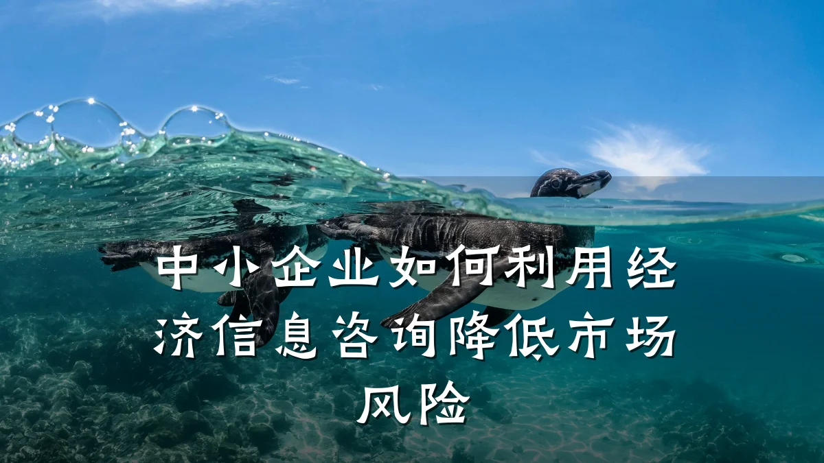 中小企业如何利用经济信息咨询降低市场风险
