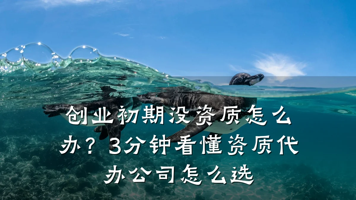创业初期没资质怎么办？3分钟看懂资质代办公司怎么选