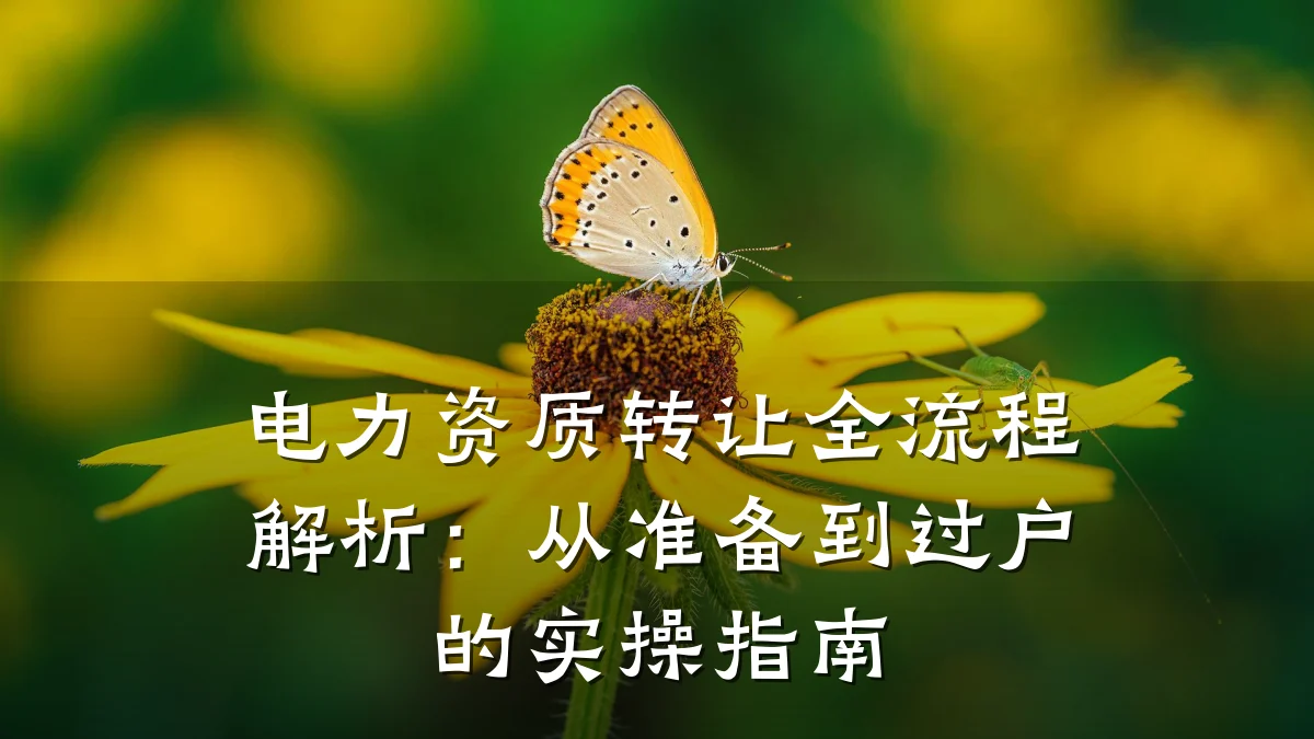 电力资质转让全流程解析：从准备到过户的实操指南