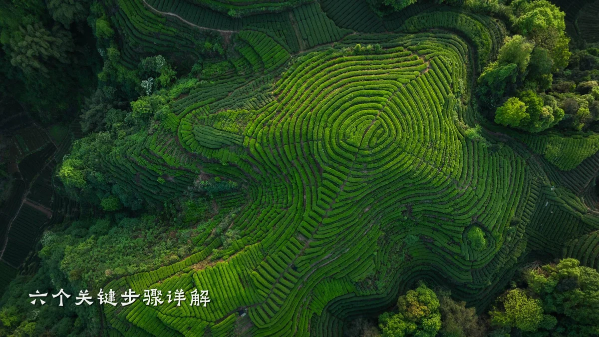 六个关键步骤详解