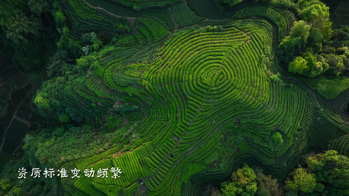 资质标准变动频繁