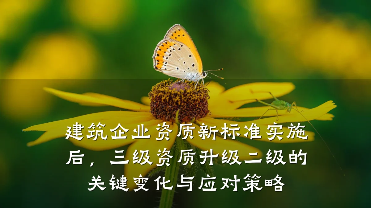 建筑企业资质新标准实施后，三级资质升级二级的关键变化与应对策略
