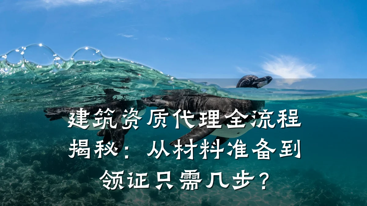 建筑资质代理全流程揭秘：从材料准备到领证只需几步？