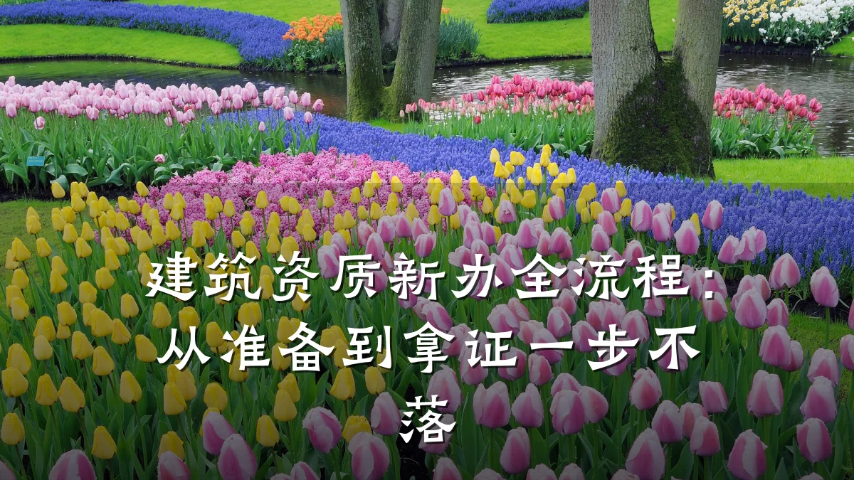 建筑资质新办全流程：从准备到拿证一步不落