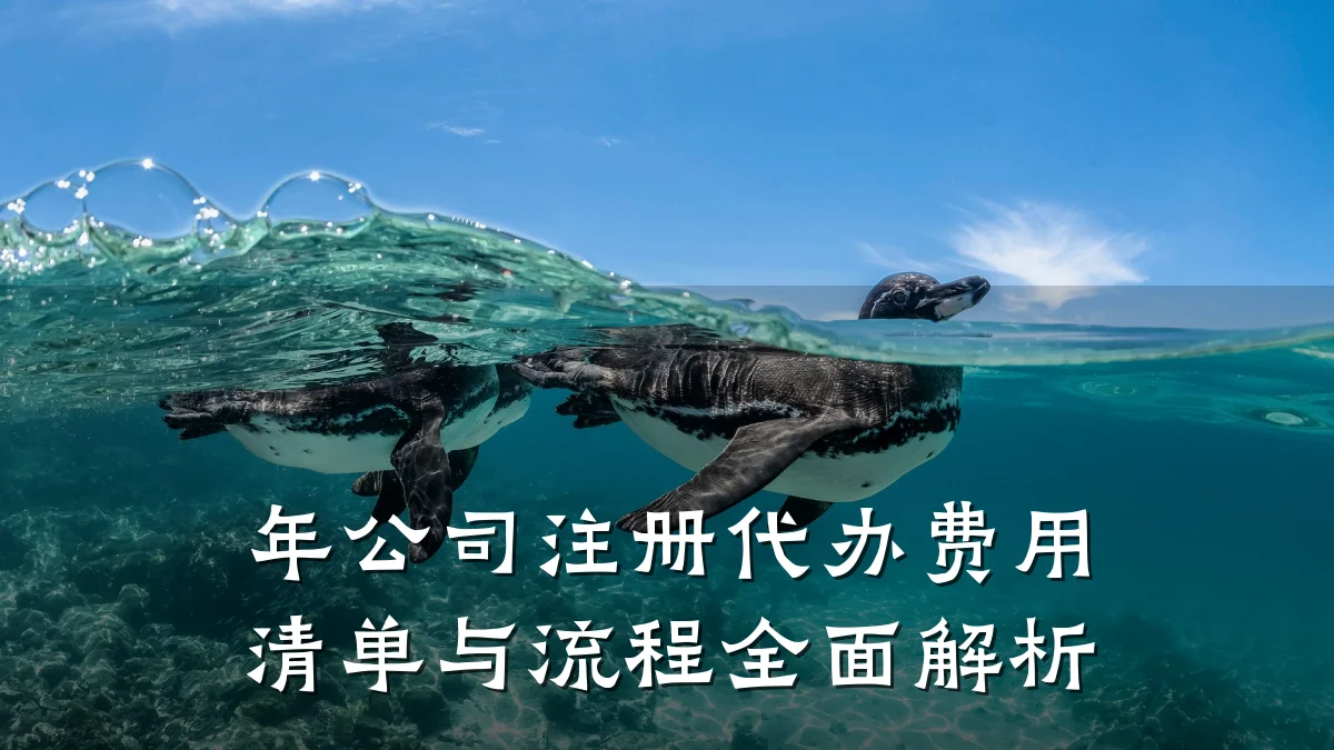 年公司注册代办费用清单与流程全面解析