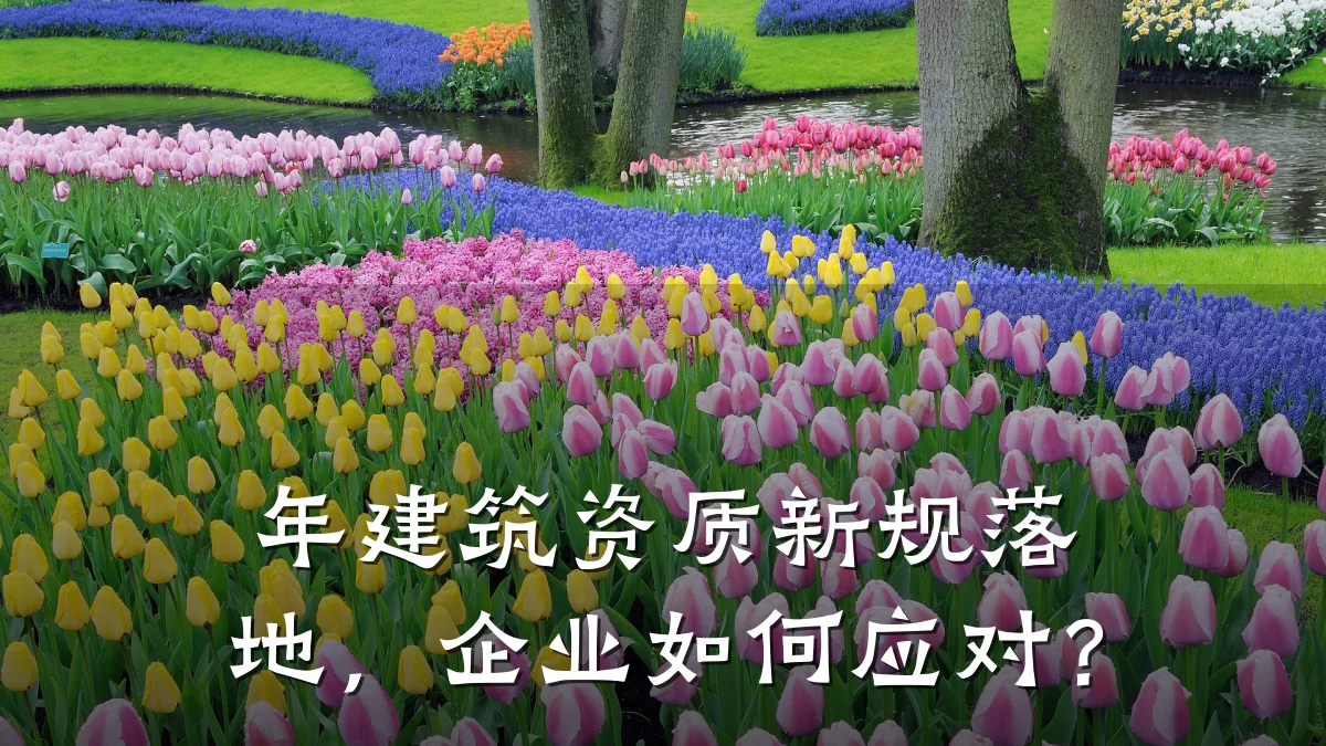 年建筑资质新规落地，企业如何应对？