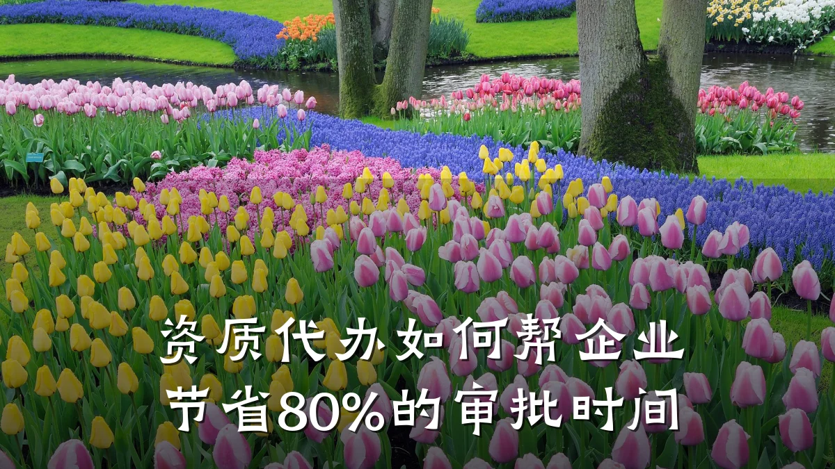 资质代办如何帮企业节省80%的审批时间
