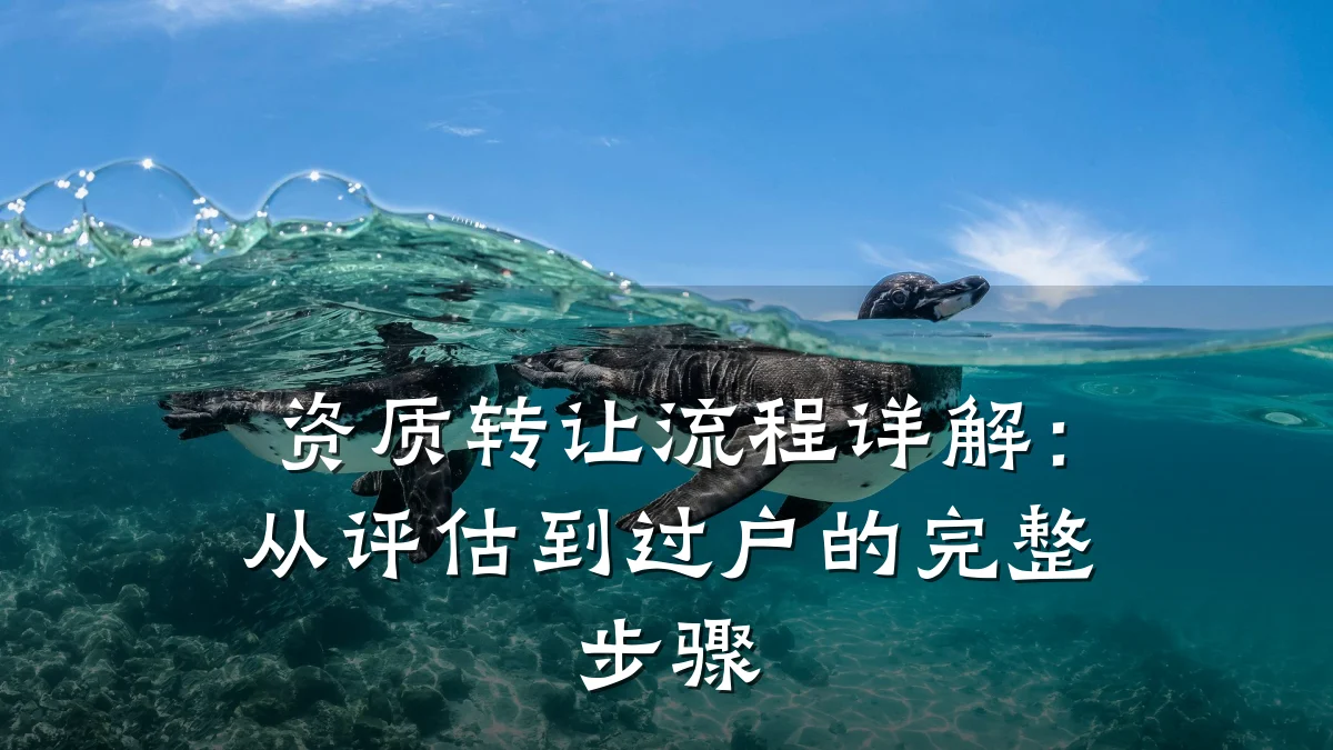 资质转让流程详解：从评估到过户的完整步骤