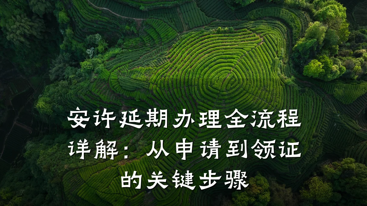 安许延期办理全流程详解：从申请到领证的关键步骤