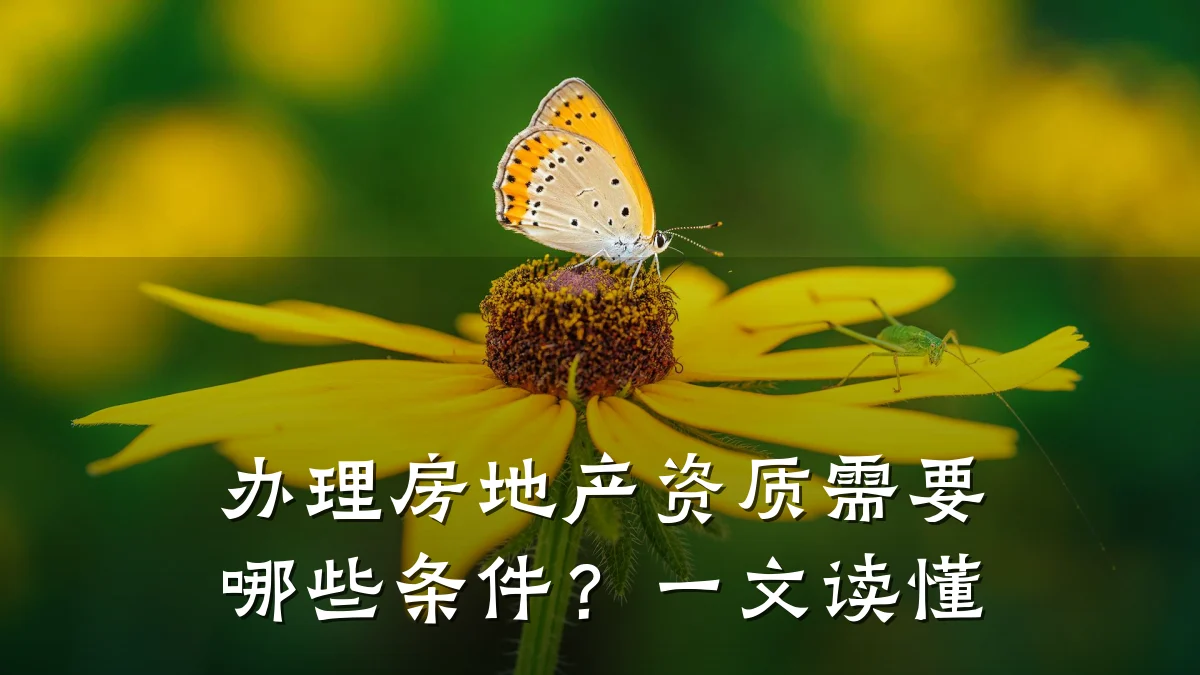 办理房地产资质需要哪些条件？一文读懂