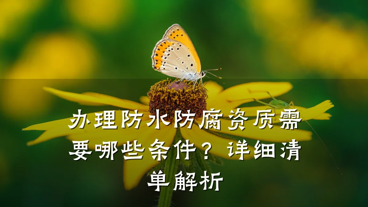办理防水防腐资质需要哪些条件？详细清单解析