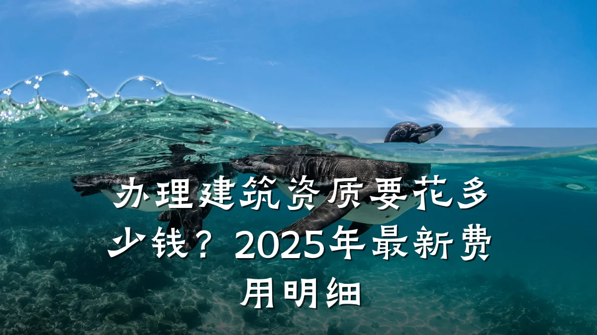 办理建筑资质要花多少钱?2025年最新费用明细