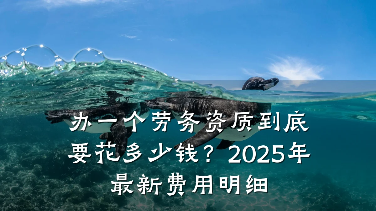 办一个劳务资质到底要花多少钱？2025年最新费用明细