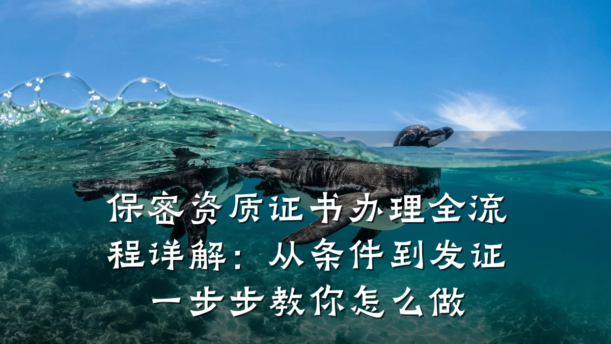 保密资质证书办理全流程详解：从条件到发证一步步教你怎么做