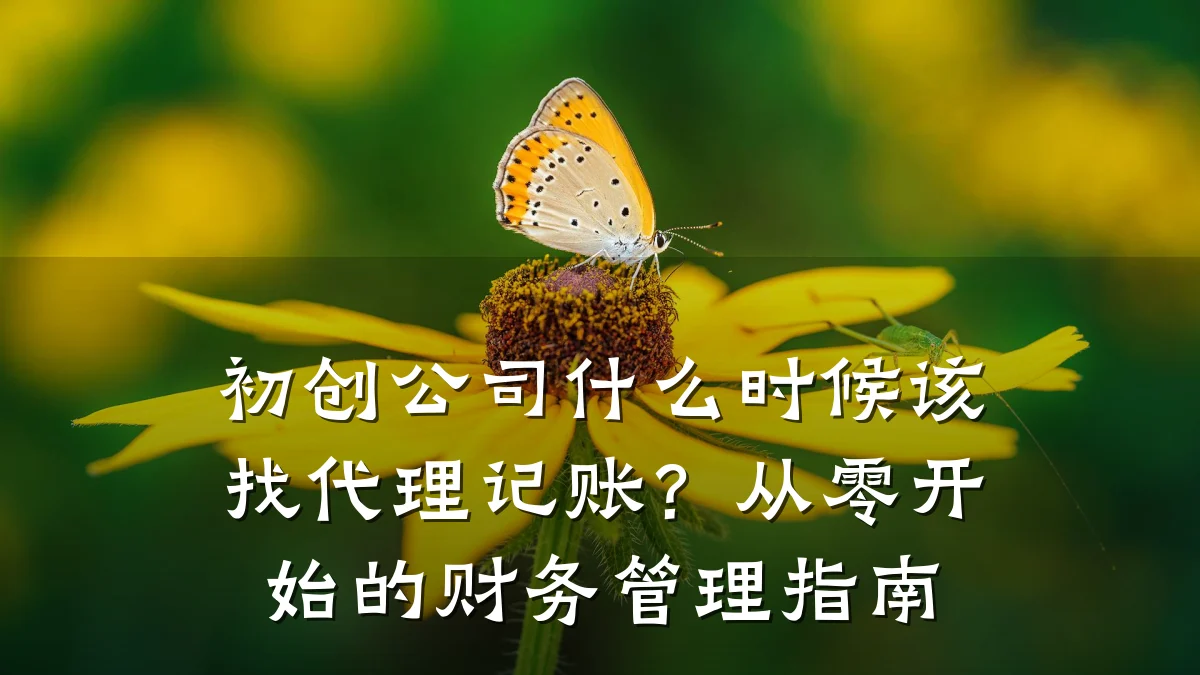 初创公司什么时候该找代理记账？从零开始的财务管理指南