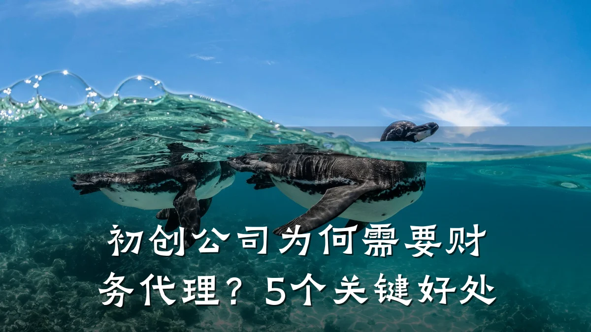 初创公司为何需要财务代理？5个关键好处