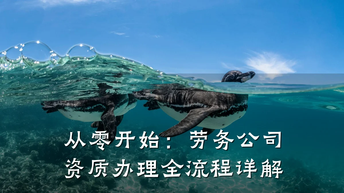 从零开始：劳务公司资质办理全流程详解