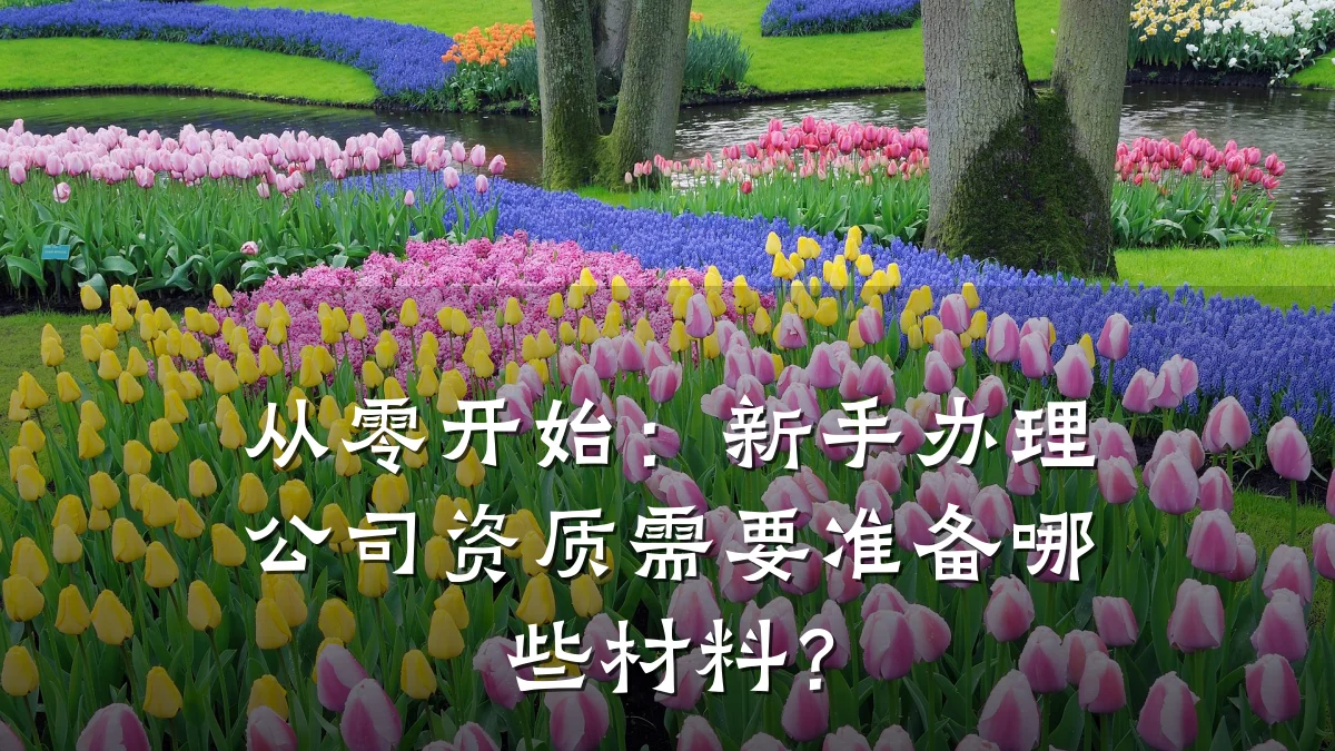 从零开始：新手办理公司资质需要准备哪些材料？
