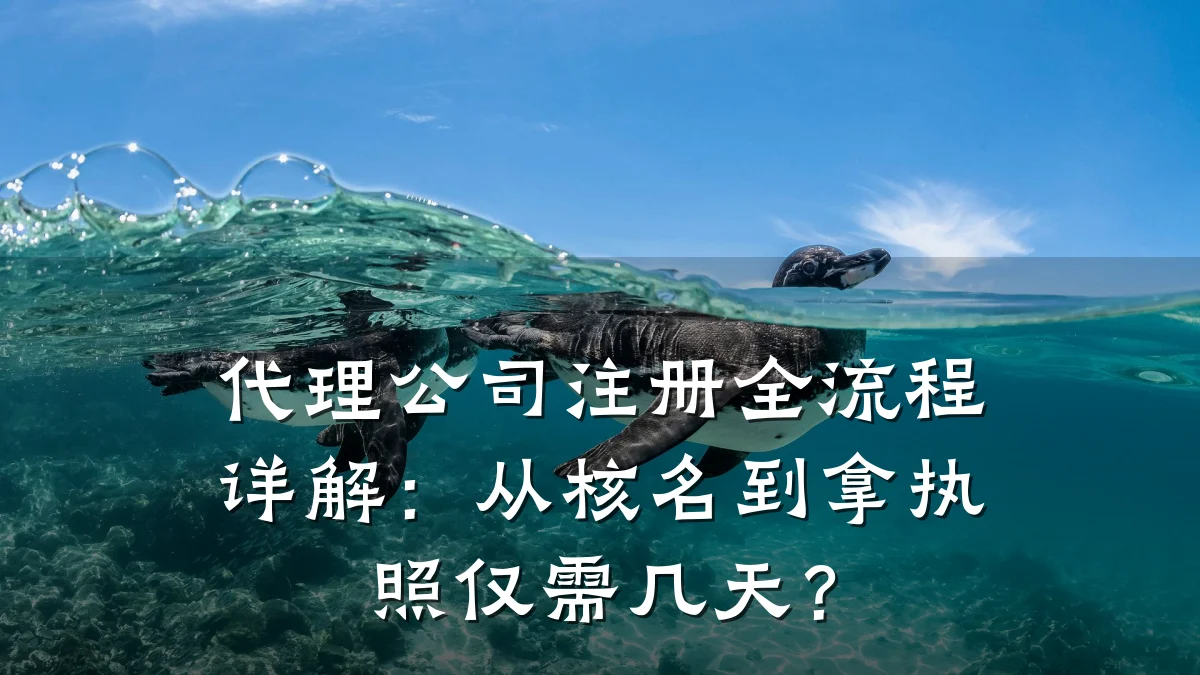 代理公司注册全流程详解：从核名到拿执照仅需几天？