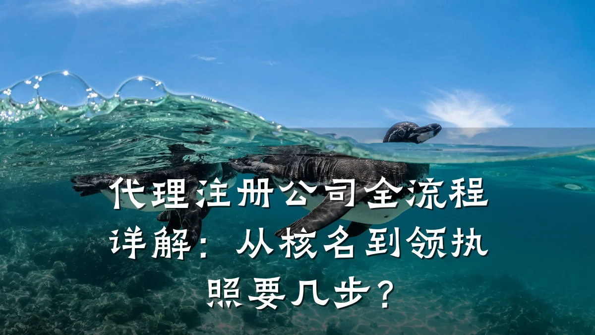 代理注册公司全流程详解：从核名到领执照要几步？