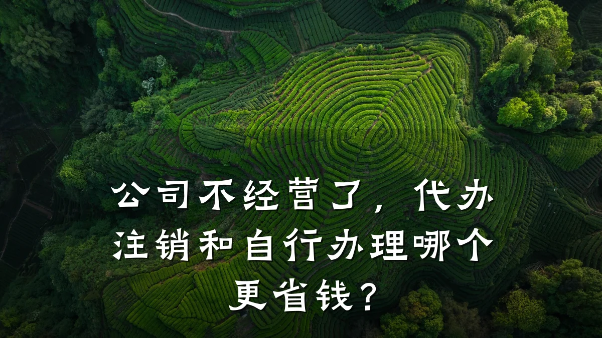 公司不经营了，代办注销和自行办理哪个更省钱？