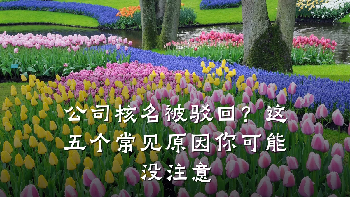 公司核名被驳回？这五个常见原因你可能没注意