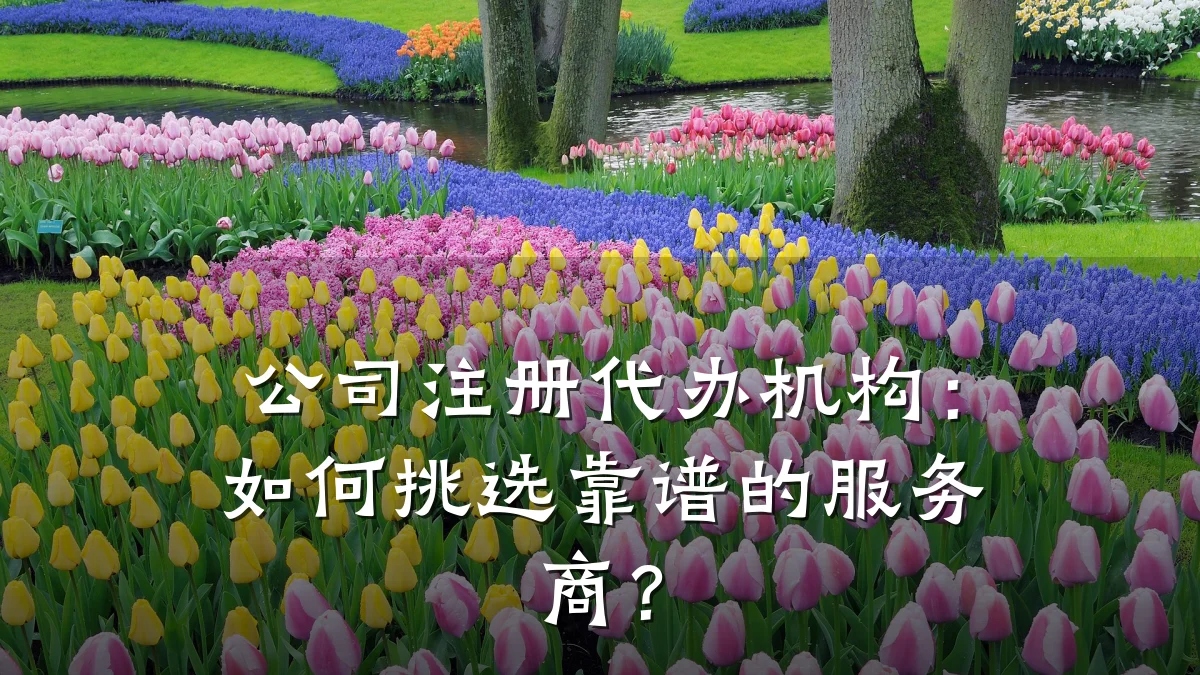 公司注册代办机构：如何挑选靠谱的服务商？