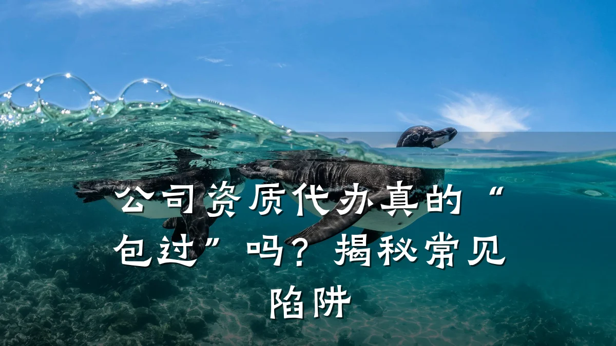 公司资质代办真的“包过”吗？揭秘常见陷阱