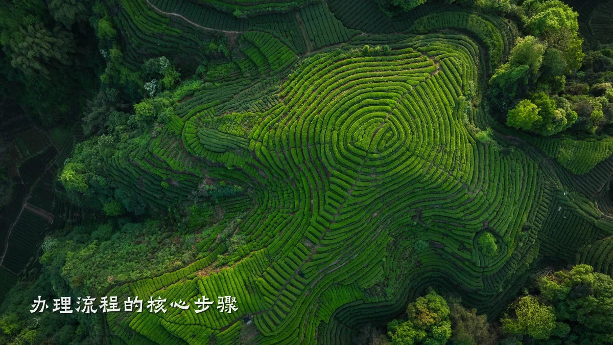 办理流程的核心步骤