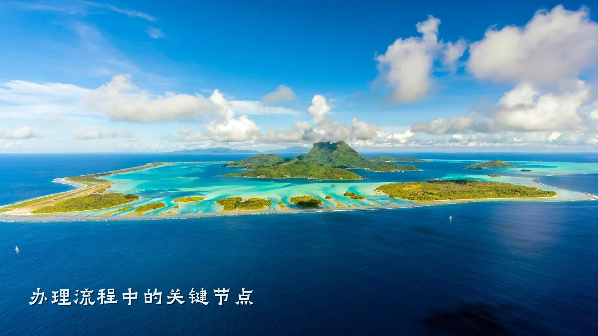 办理流程中的关键节点