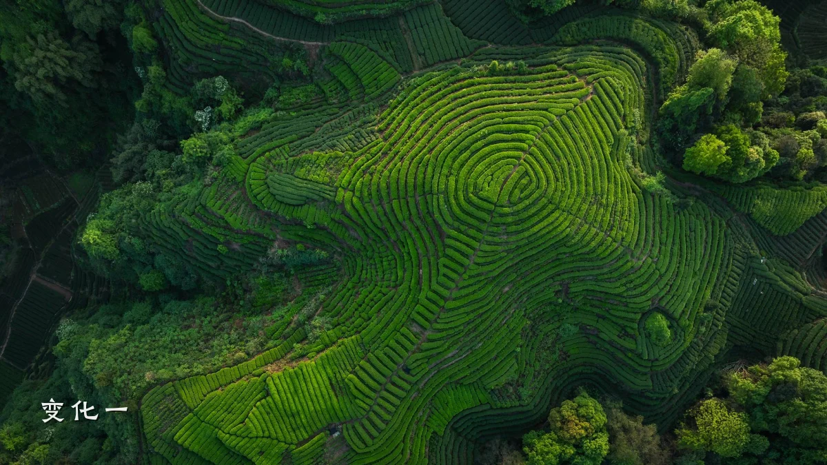 变化一