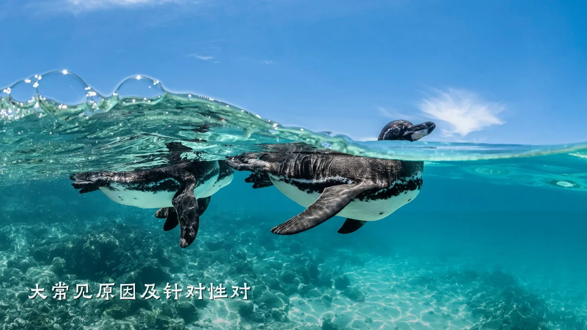 大常见原因及针对性对