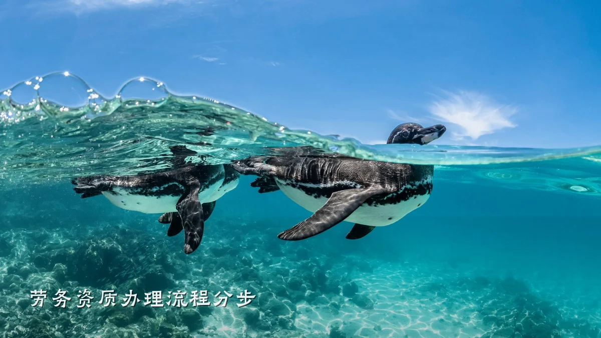 劳务资质办理流程分步