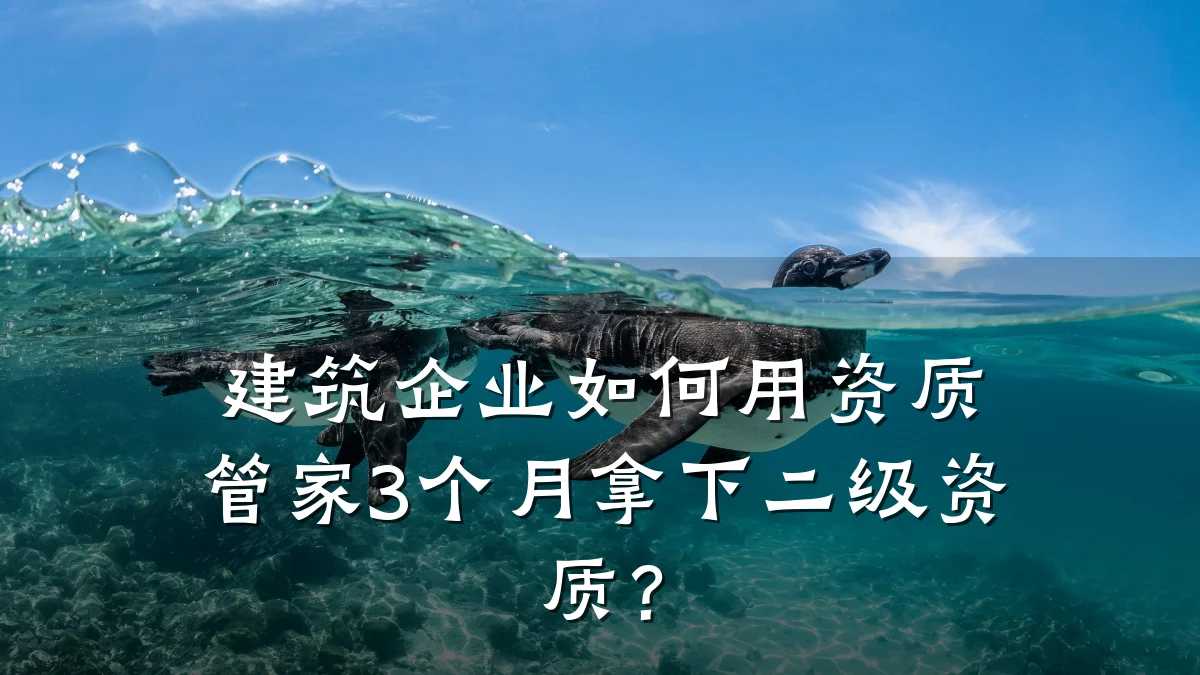 建筑企业如何用资质管家3个月拿下二级资质？