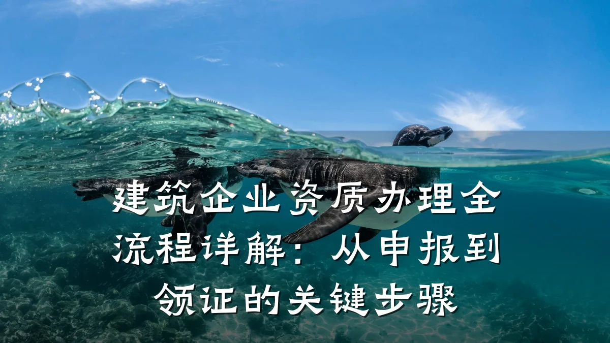 建筑企业资质办理全流程详解：从申报到领证的关键步骤