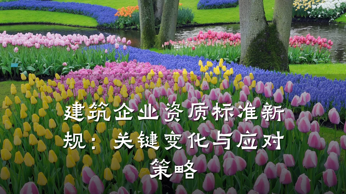 建筑企业资质标准新规：关键变化与应对策略
