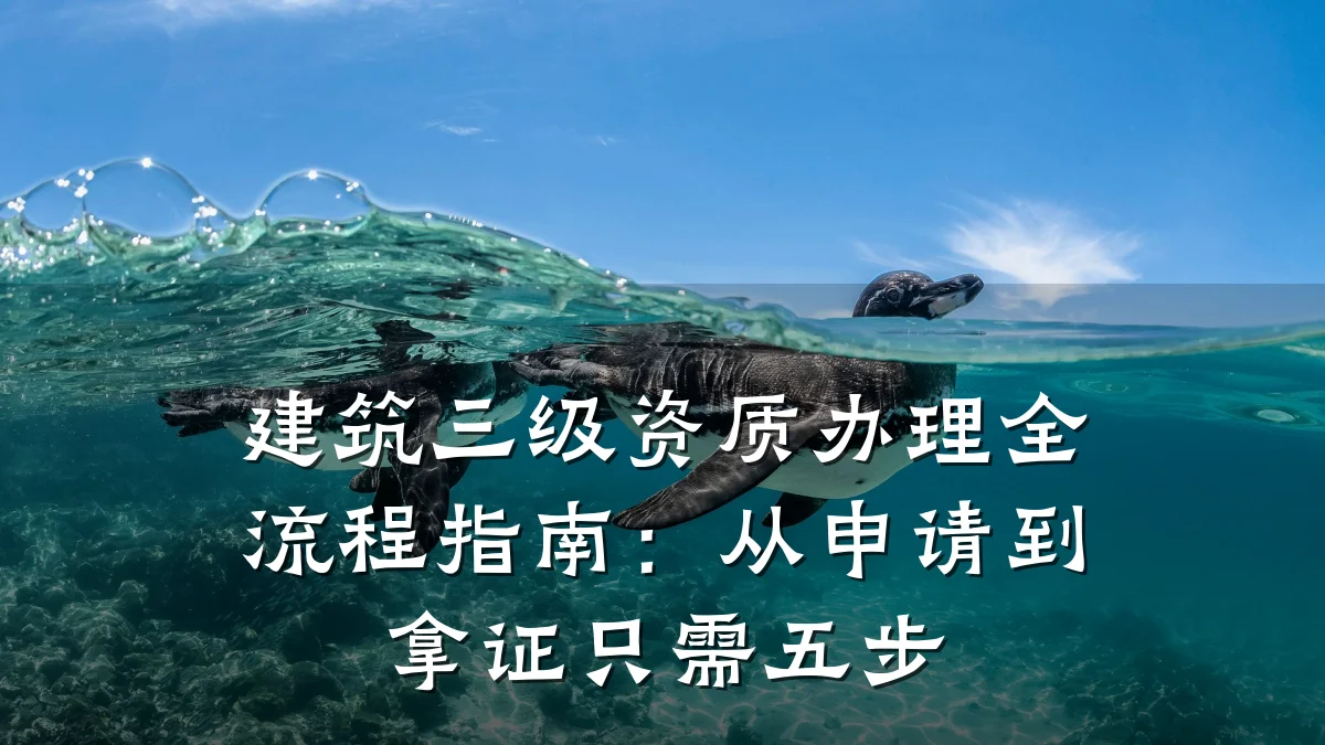 建筑三级资质办理全流程指南:从申请到拿证只需五步