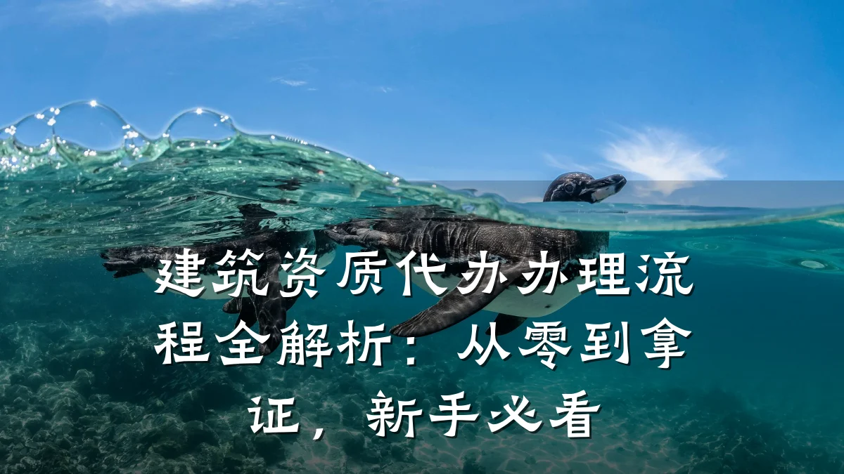 建筑资质代办办理流程全解析：从零到拿证，新手必看