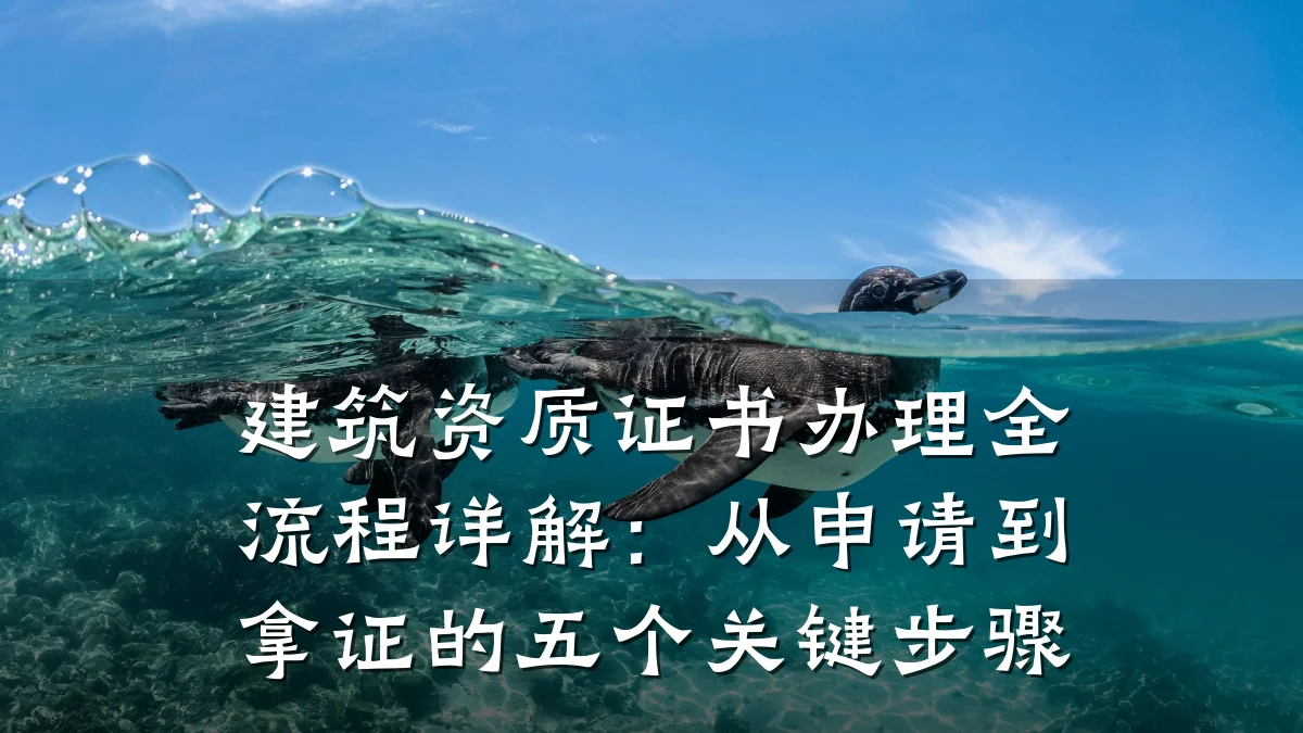 建筑资质证书办理全流程详解：从申请到拿证的五个关键步骤