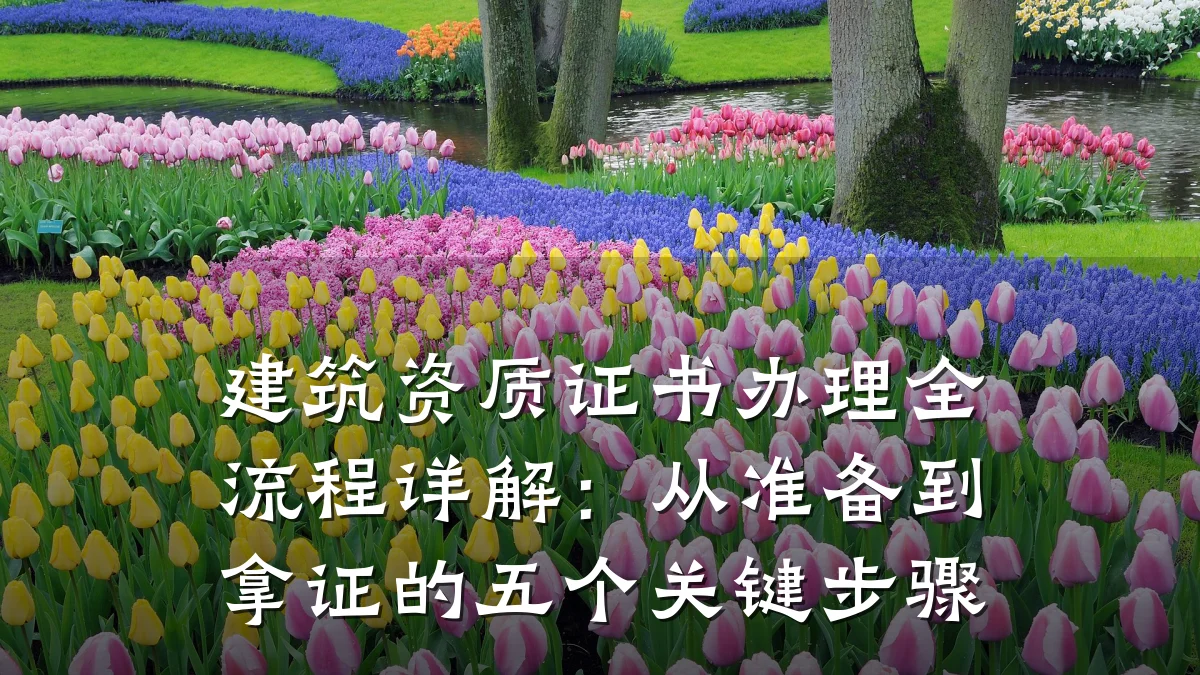 建筑资质证书办理全流程详解：从准备到拿证的五个关键步骤