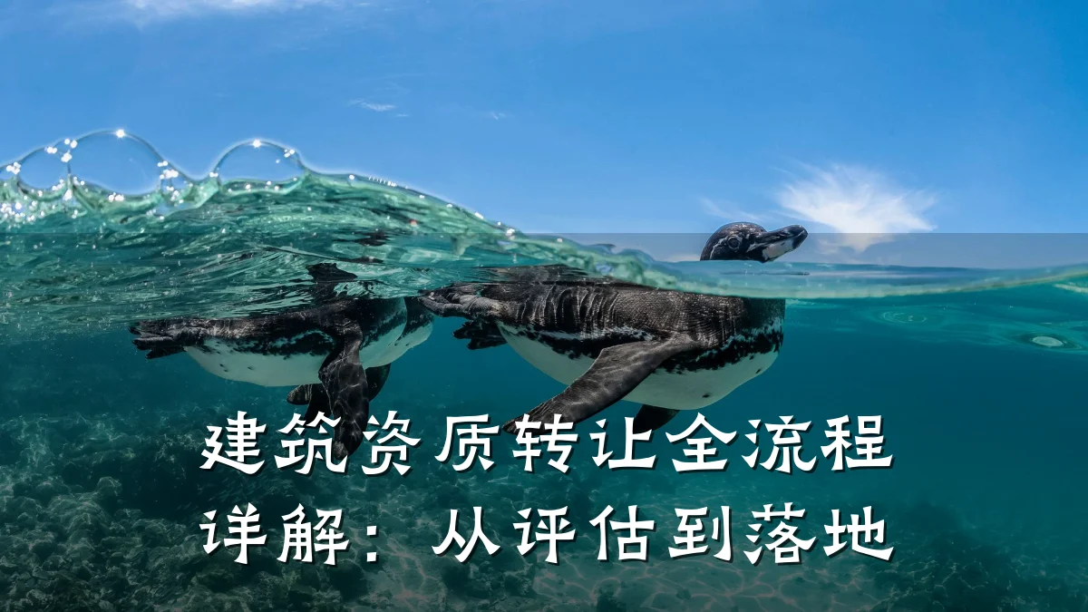建筑资质转让全流程详解：从评估到落地