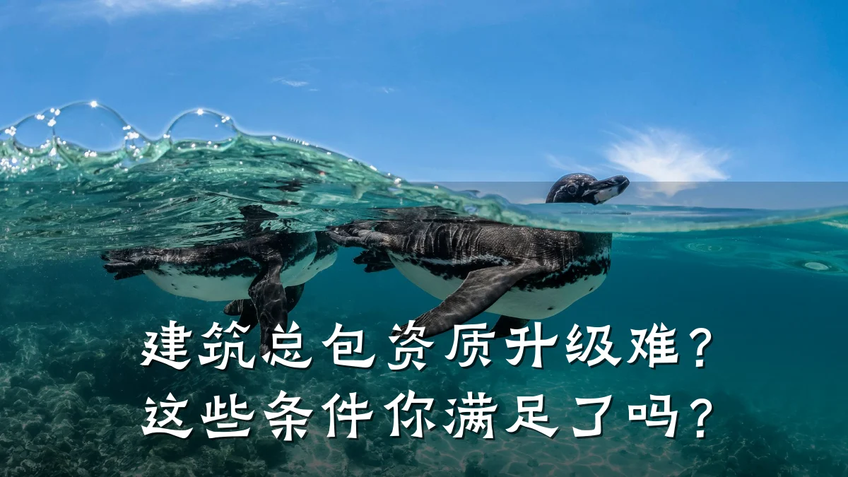 建筑总包资质升级难？这些条件你满足了吗？