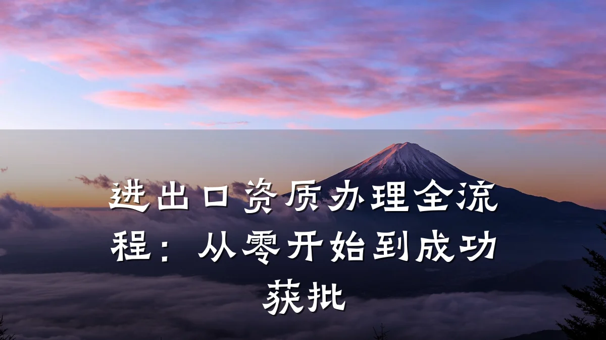 进出口资质办理全流程：从零开始到成功获批