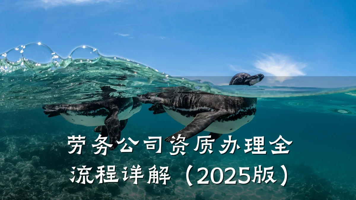 劳务公司资质办理全流程详解（2025版）