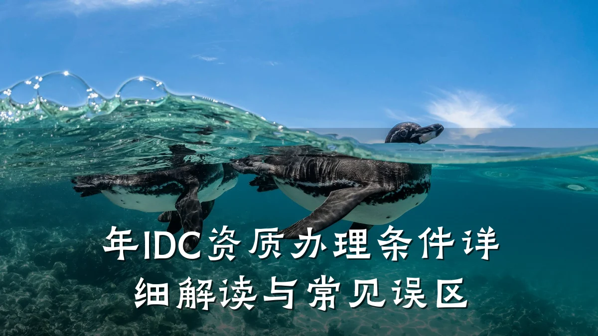 年IDC资质办理条件详细解读与常见误区