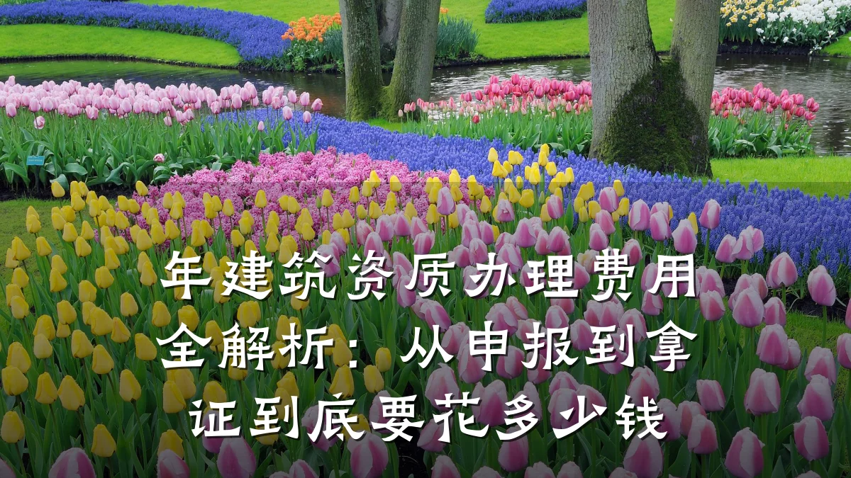年建筑资质办理费用全解析:从申报到拿证到底要花多少钱