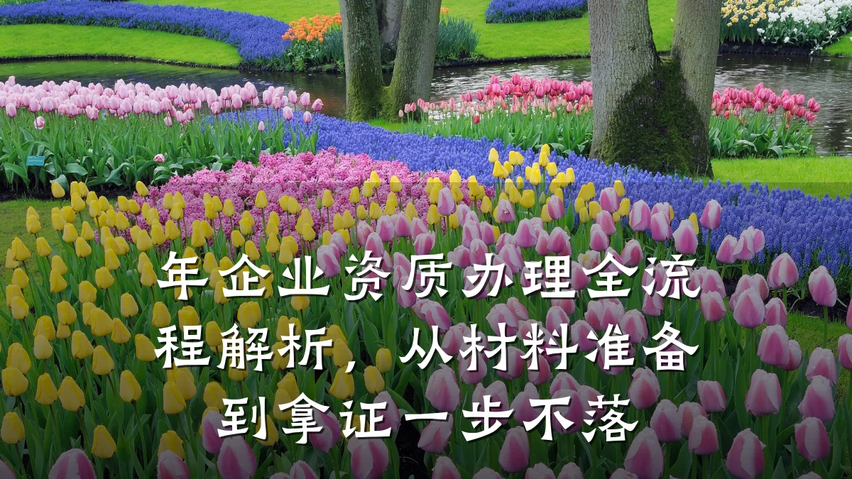 年企业资质办理全流程解析，从材料准备到拿证一步不落