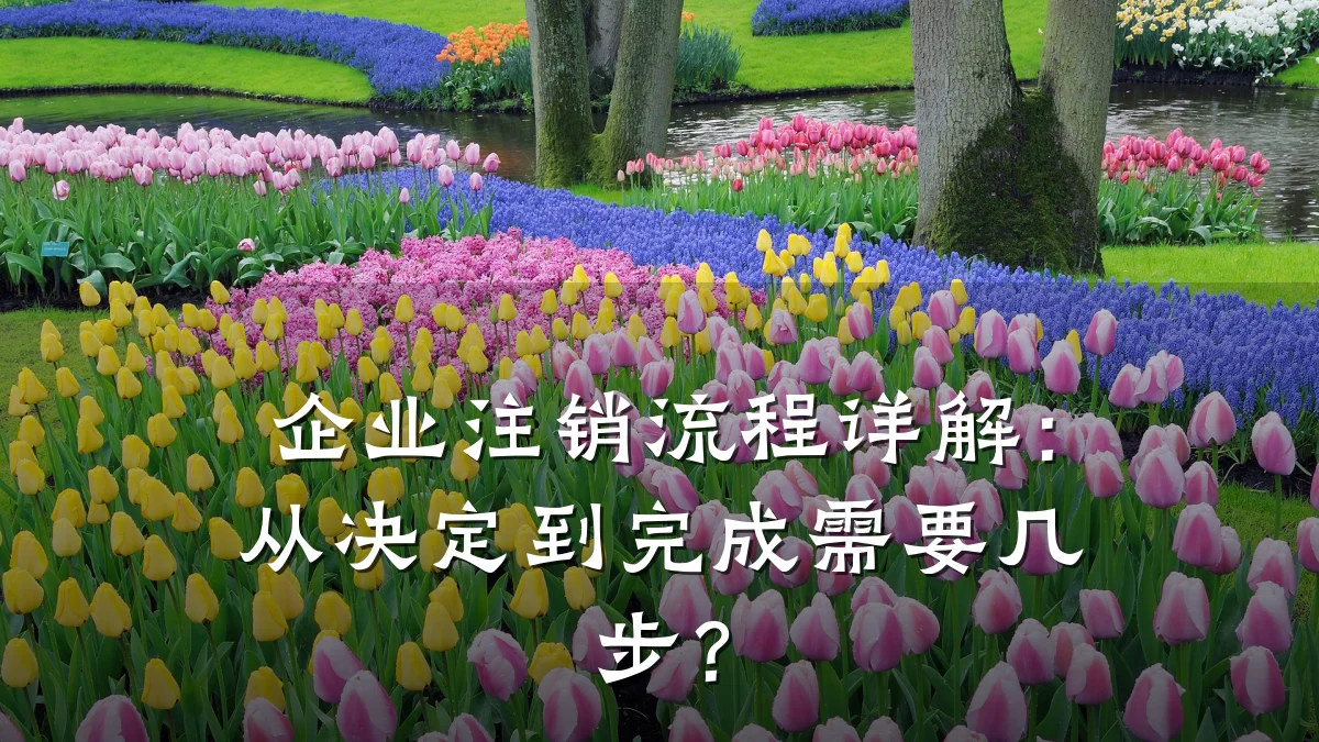 企业注销流程详解：从决定到完成需要几步？