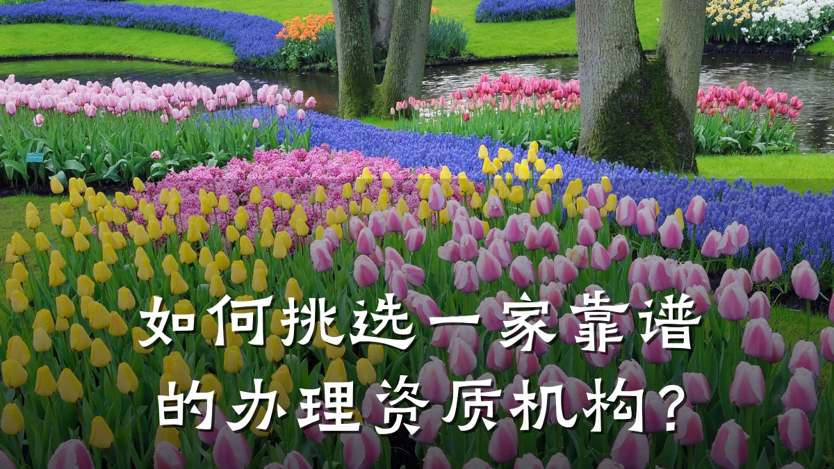 如何挑选一家靠谱的办理资质机构？